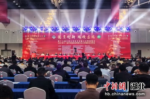 中新网湖北 全国石膏技术交流大会在宜都开幕